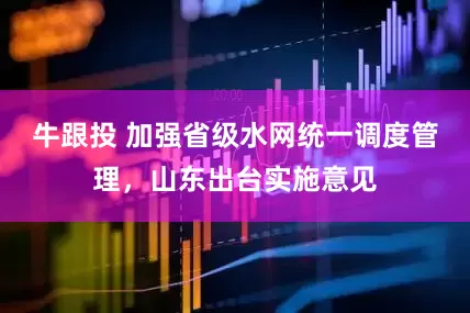牛跟投 加强省级水网统一调度管理，山东出台实施意见