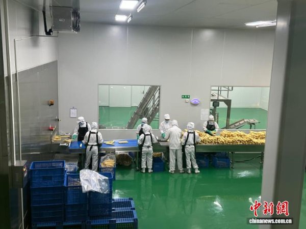 融凯配资 山东民营企业深耕“责任田” 扎根实业书写“担当答卷”
